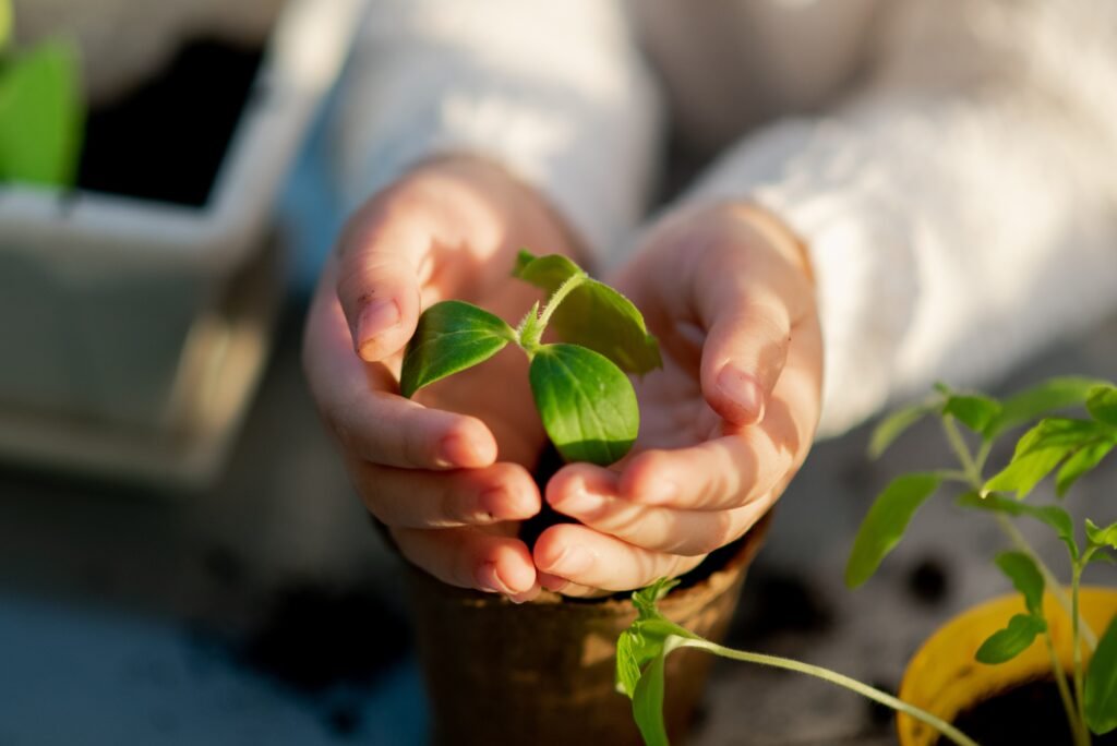 A cute girl plants at home in eco pots. She is wearing a white sweater. The garden of the house. Hobby.