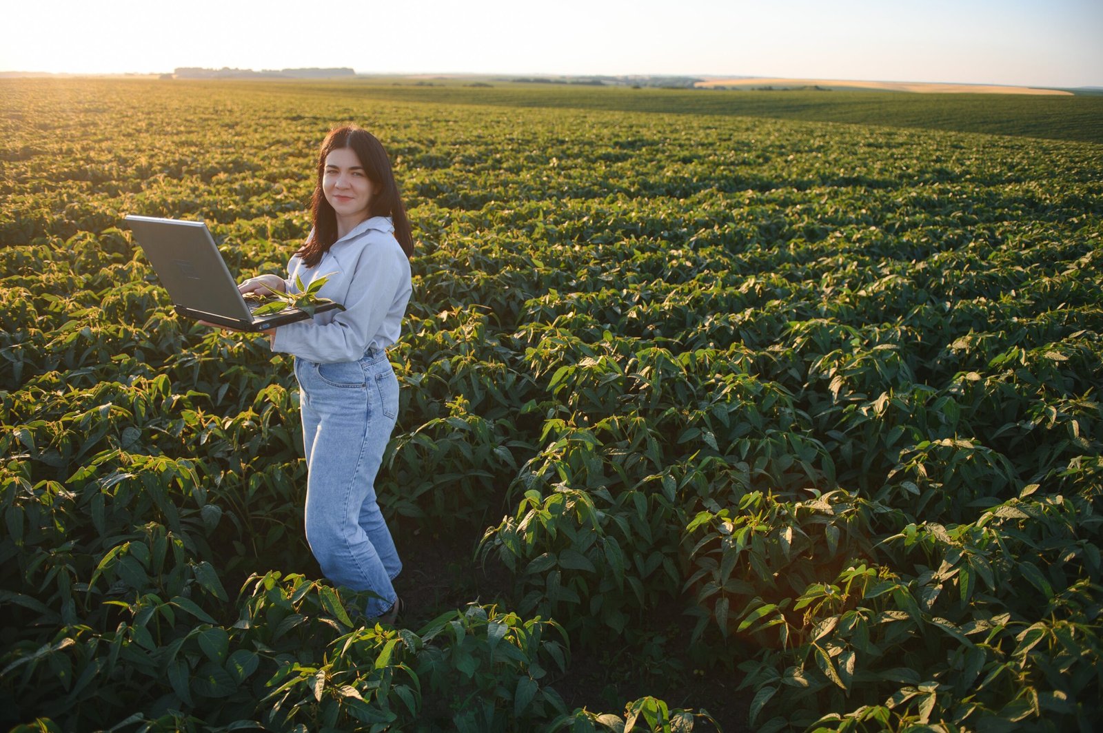 digital farming for realtors