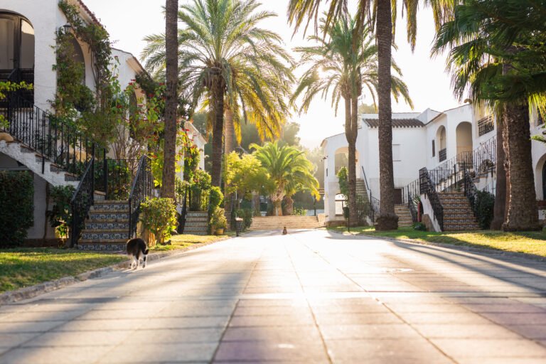 a nice neighborhood in a tropical climate for sale by a realtor because they have a luxury website